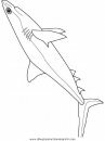 animales/tiburones/tiburones_36.JPG