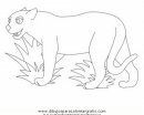 animales/tigres/puma_pumas_02.JPG