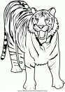 animales/tigres/tigres_07.JPG