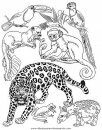 animales/tigres/tigres_16.JPG