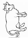 animales/vacas/vacas_14.JPG