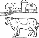 animales/vacas/vacas_16.JPG