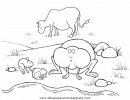 animales/vacas/vacas_17.JPG
