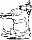 animales/vacas/vacas_19.JPG