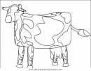 animales/vacas/vacas_35.JPG