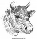 animales/vacas/vacas_37.JPG