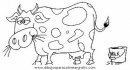 animales/vacas/vacas_40.JPG