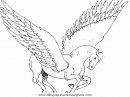 fantasia/pegaso/pegaso_cavallo_06.JPG