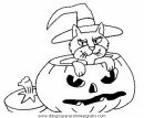 halloween/calabazas/halloween_calabazas_63.JPG