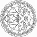 juegos/formas_geometricas/forme_geometriche_34.gif