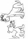 mixtos/animales/animales_105.JPG