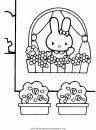 mixtos/animales/animales_159.JPG