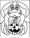 mixtos/animales/animales_205.JPG