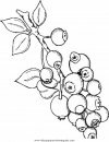 mixtos/jardin/blueberries.JPG