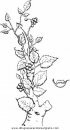 mixtos/jardin/branch.JPG
