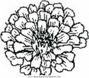 mixtos/jardin/flower.JPG