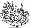 mixtos/jardin/jardines_2.JPG