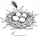 mixtos/jardin/nest.JPG