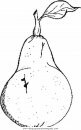 mixtos/jardin/pear.JPG