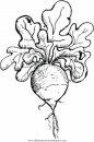 mixtos/jardin/radish.JPG