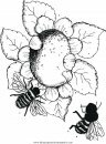 mixtos/jardin/sunflower.JPG