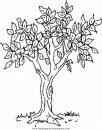 mixtos/jardin/tree.JPG