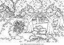 mixtos/paisajes/bosques_1.JPG