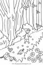 mixtos/paisajes/bosques_4.JPG