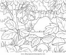 mixtos/paisajes/bosques_6.JPG