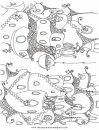 mixtos/paisajes/citta_10.JPG