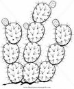 mixtos/pedidos04/nopal.JPG