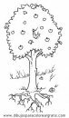 naturaleza/alboles/alboles_003.JPG