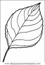 naturaleza/alboles/alboles_004.JPG