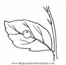 naturaleza/alboles/alboles_005.JPG
