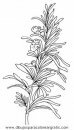 naturaleza/alboles/alboles_008.JPG