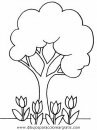 naturaleza/alboles/alboles_010.JPG
