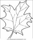 naturaleza/alboles/alboles_012.JPG