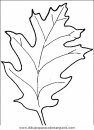 naturaleza/alboles/alboles_013.JPG