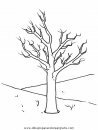 naturaleza/alboles/alboles_017.JPG