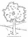naturaleza/alboles/alboles_018.JPG