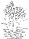 naturaleza/alboles/alboles_019.JPG