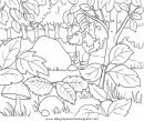 naturaleza/alboles/alboles_023.JPG