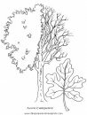 naturaleza/alboles/alboles_026.JPG