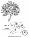naturaleza/alboles/alboles_028.JPG