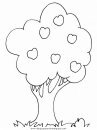 naturaleza/alboles/alboles_039.JPG
