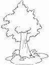 naturaleza/alboles/alboles_041.JPG