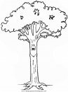 naturaleza/alboles/alboles_048.JPG