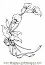 naturaleza/flores/calas_3.JPG