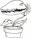 naturaleza/flores/flores_002.JPG