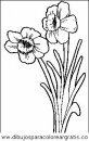 naturaleza/flores/flores_010.JPG
